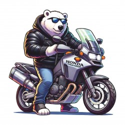 CAMISETA OSO MOTERO