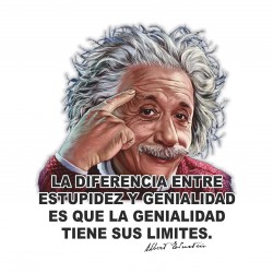 CAMISETA EINSTEIN