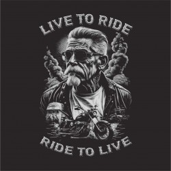 CAMISETA   MOTOR
