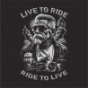 CAMISETA   MOTOR