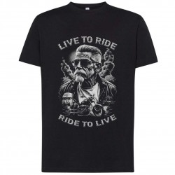 CAMISETA   MOTOR