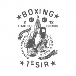 CAMISETAS BOXING