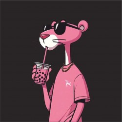 CAMISETA PANTERA ROSA