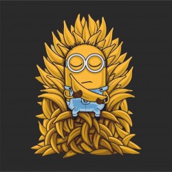 CAMISETAS MINIONS