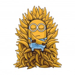 CAMISETAS MINIONS